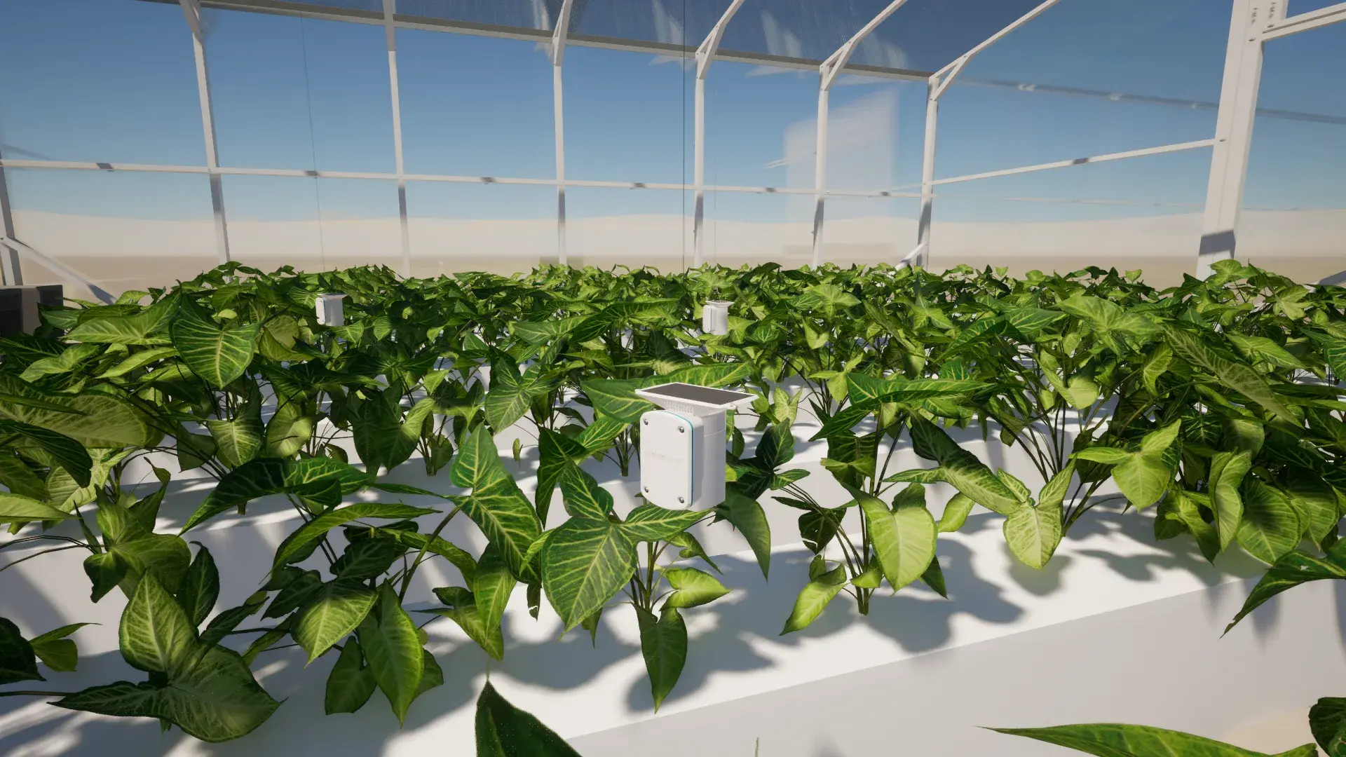 Greenhouse overview.1920x0